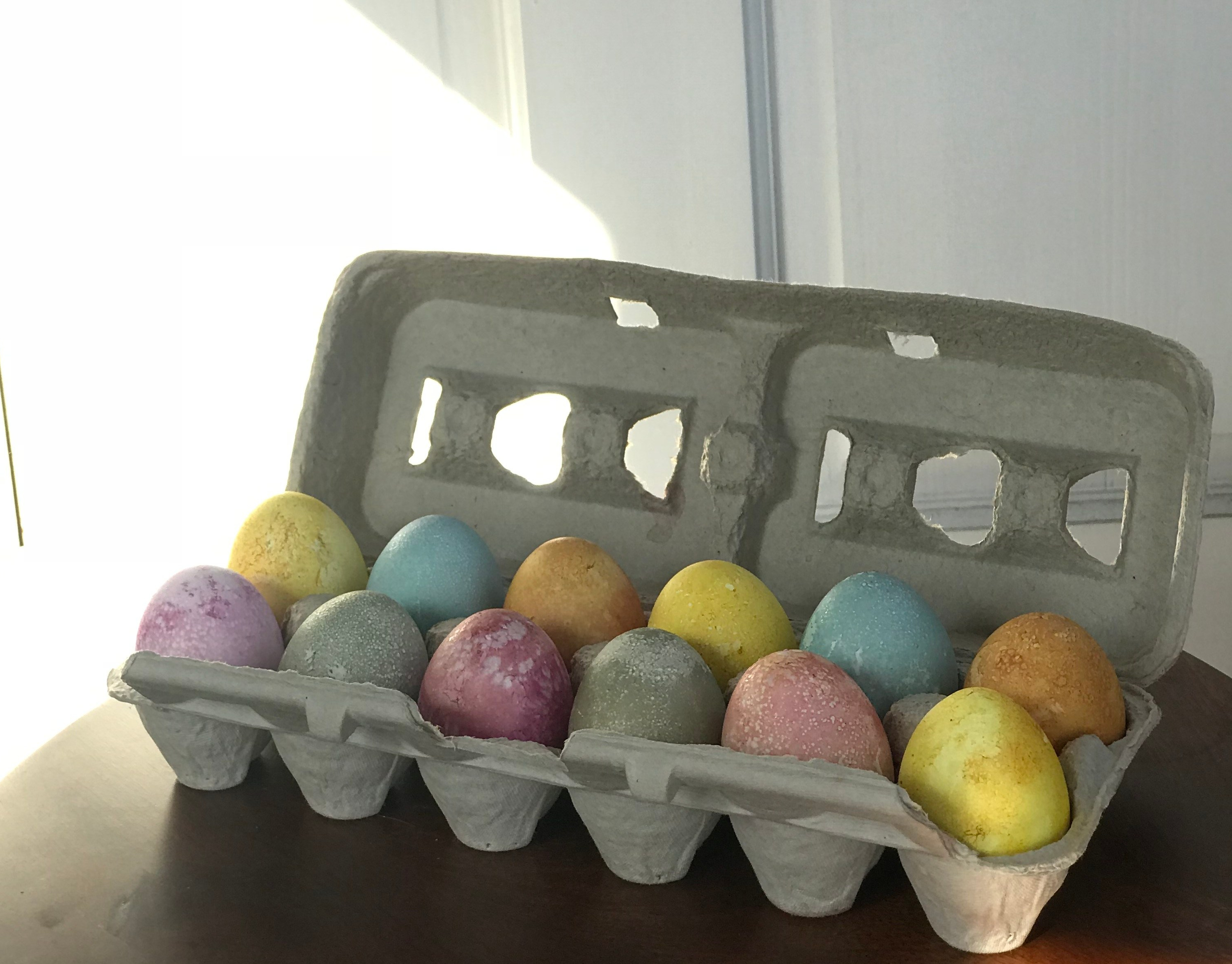 plant dyed eggs in rainbow colors
